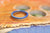 Bague skateboard recyclé 7PLIS orange bleue - 7PLIS